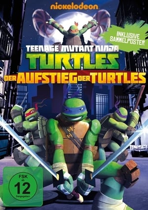 Teenage Mutant Ninja Turtles: Rise of the Turtles poszter