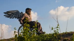 A Bicicleta do Vovô kép