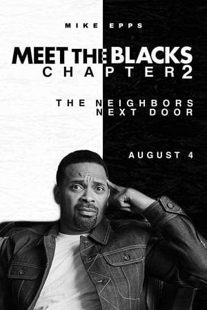 The House Next Door: Meet the Blacks 2 poszter