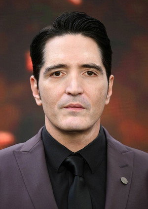 David poszter
