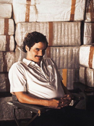 Narcos poszter