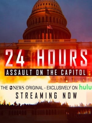 24 Hours: Assault on the Capitol poszter