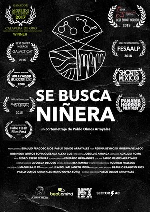 Se Busca Niñera