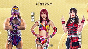 STARDOM NEW YEAR DREAM 2026〜Day〜 háttérkép