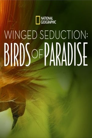 Winged Seduction: Birds of Paradise poszter