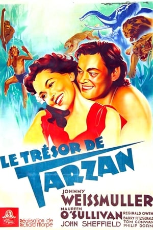 Tarzan titkos kincse poszter