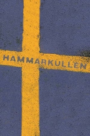 Hammarkullen poszter