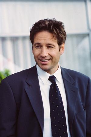 David Duchovny profil kép