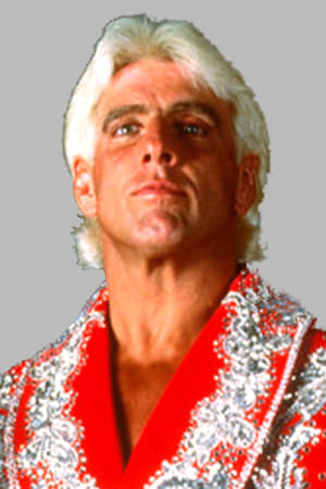 Ric Flair profil kép