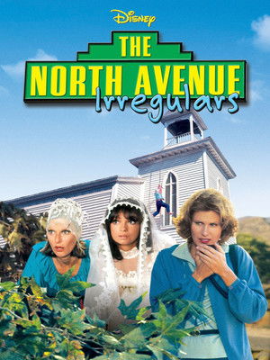 The North Avenue Irregulars poszter