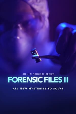 Forensic Files II poszter