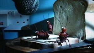 Creature Comforts 1. évad Ep.3 3. epizód
