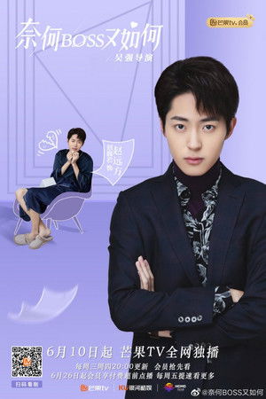 奈何BOSS又如何 poszter