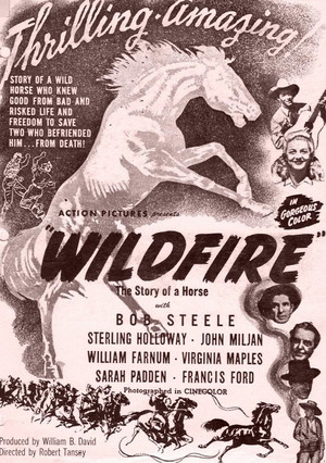 Wildfire poszter
