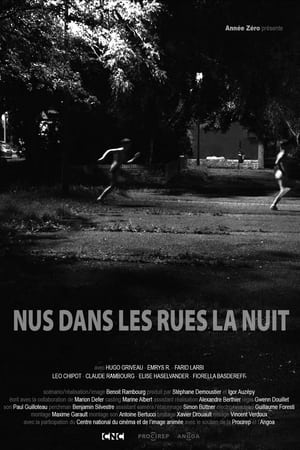 Nus dans les rues la nuit