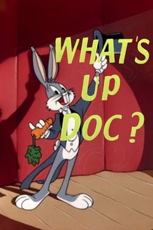 What's Up Doc? poszter