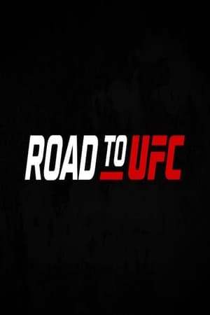 Road to UFC poszter