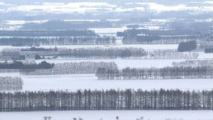 Wild Hokkaido! 3. évad Ep.7 7. epizód