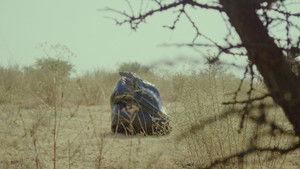 Historia de una Bolsa de Basura háttérkép