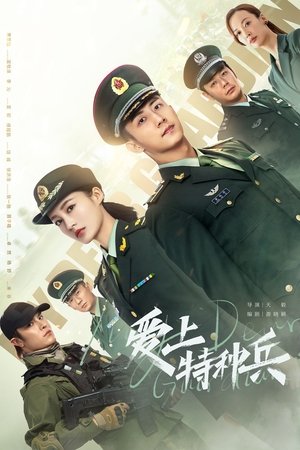 爱上特种兵 poszter