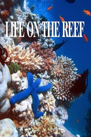 Life on the Reef