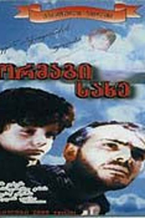 ორმაგი სახე poszter