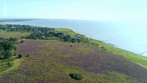 Sylt - Wellen, Wind und Watt háttérkép