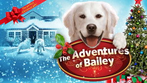 Adventures of Bailey: Christmas Hero háttérkép