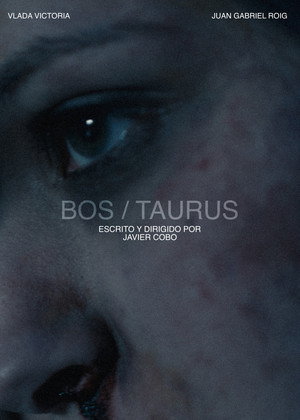 Bos/Taurus poszter
