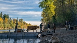 First Cow háttérkép