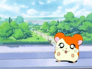 とっとこハム太郎 Season 1 Ep.1 1. epizód