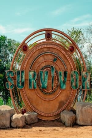 Survivor poszter