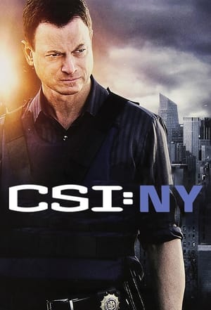 CSI: New York-i helyszínelők poszter