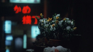 冬の華 háttérkép