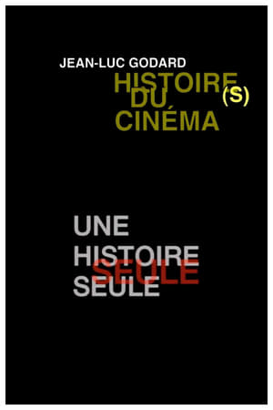 Histoire(s) du cinéma 1b : une histoire seule poszter