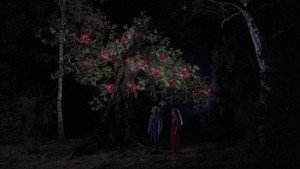 Bye bye chaperon rouge háttérkép