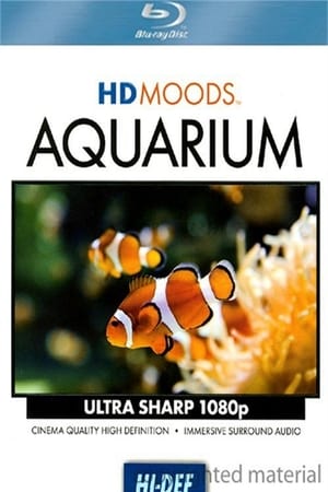 HD MOODS: AQUARIUM