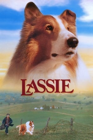 Lassie- Az igazi barát