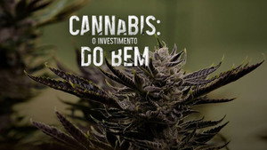 Cannabis: O Investimento do Bem háttérkép
