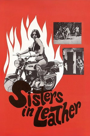 Sisters in Leather poszter