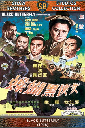 女俠黑蝴蝶 poszter