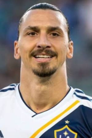 Zlatan Ibrahimović profil kép