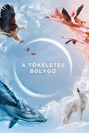 A tökéletes bolygó