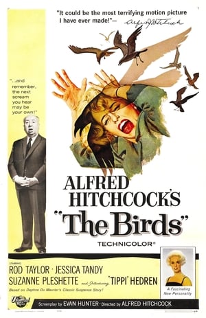 ‘The Birds’: Hitchcock’s Monster Movie poszter