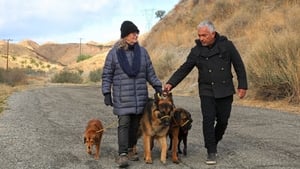 Cesar Millan: Jó gazdi, jó kutya 1. évad Ep.2 2. epizód