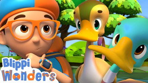 Blippi csodái 1. évad Ep.19 A kacsa