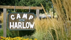 Camp Harlow háttérkép