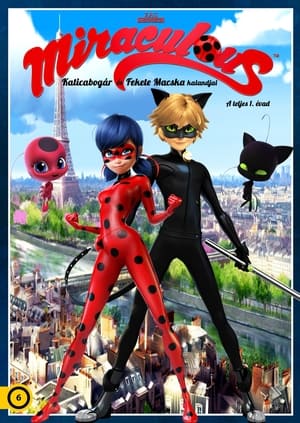 Miraculous - Katicabogár és Fekete Macska kalandjai