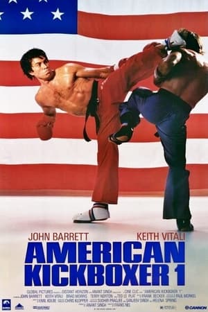 Amerikai kickboxer poszter