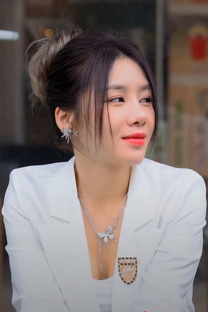 Mỹ Linh profil kép
